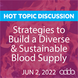 On-Demand Single Viewer: Hot Topic Discussion: Building a Diverse and