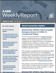 Weekly Report Example