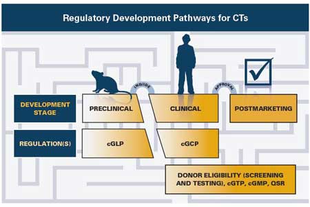 Regulatory Development Pathways for CTs