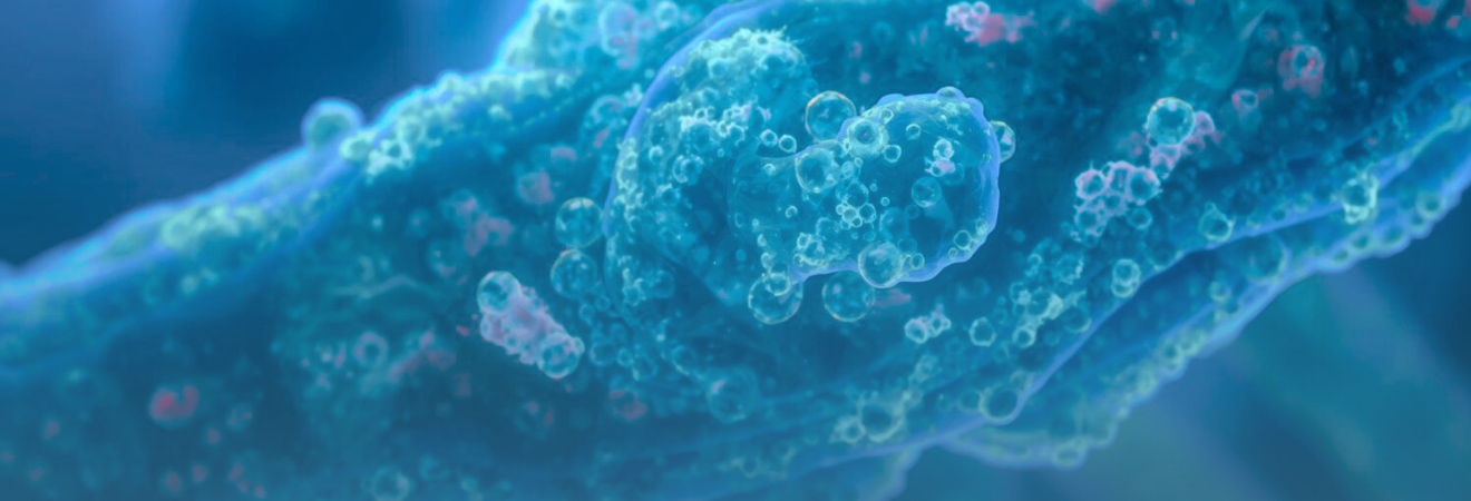 AABB Cord Blood Library