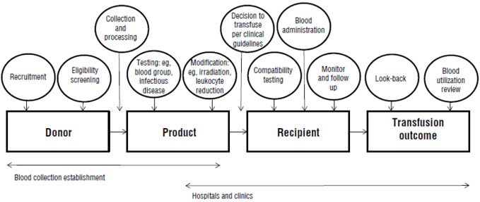 Transfusion Chain