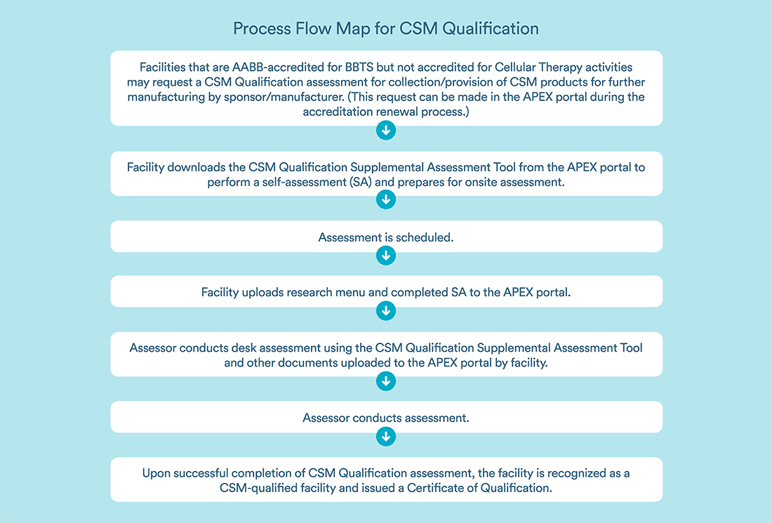 CSMQ Process Flow Map CSMQ Process Flow Map
